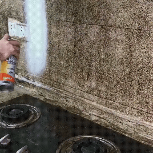 Espuma Multiuso Desmanchadora - Foam Cleaner