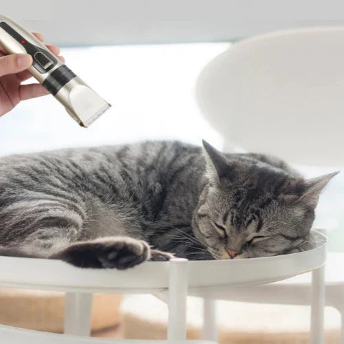 Máquina de Cortar Pelo para Mascotas