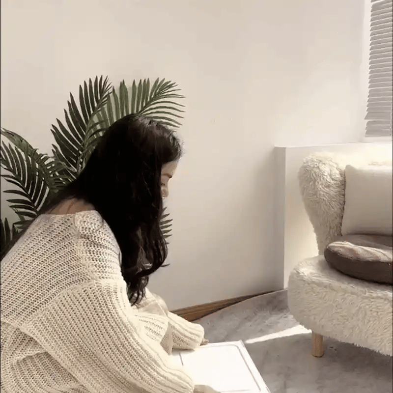 Organizador de Zapatos Plegable