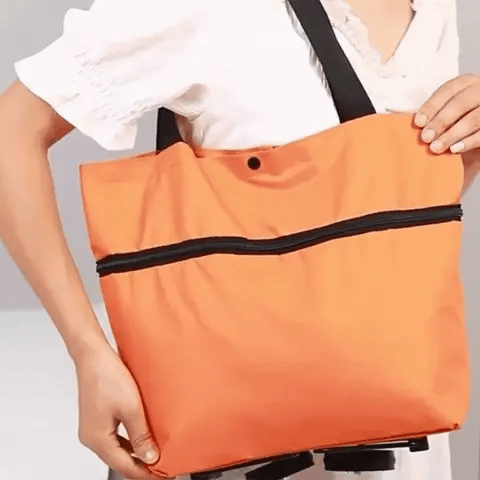 Carrito Tipo Bolso de Compras Plegable con Ruedas 2x1