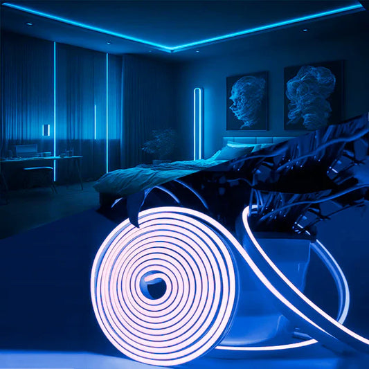 Cinta Neon LED RGB con Control Remoto