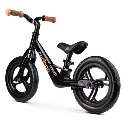 Bicicleta de Aprendizaje Infantil